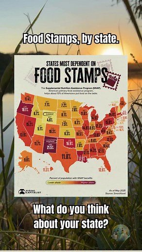 FOOD STAMPS, BY STATE. READ IT. Some places lean hard on SNAP. Others barely touch it. National avg ≈ 12%. New Mexico ~21.5%. Wyoming ~4.6%. Two things can be true at once: SNAP keeps families fed. Long-term dependence = policy failure. We need ladders, not hammocks. Jobs, skills, sane housing and childcare so fewer people need benefits. If your state is dark red, do you want more benefits…or better paychecks? Drop your state your take. | Mike Layne, M.Ed