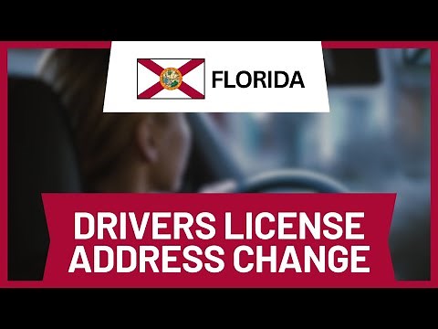 How to Change Your Driver’s License Address Online Florida