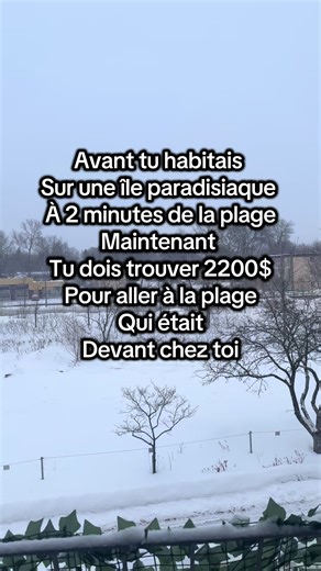Quand to la plage mank toi Mais billet faire défaut Sinon longtemps to ti pou la mer p nager 🤞🏻 #viral #fyp #trendingvideo #canada🇨🇦mauritius🇲🇺 #OursDesÎles