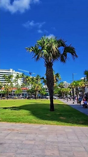 City tour of San Juan, Puerto Rico 🇵🇷 Excursion. Carnival Vista