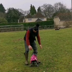 50K views · 5.8K reactions | I don't know quite how to write this,...