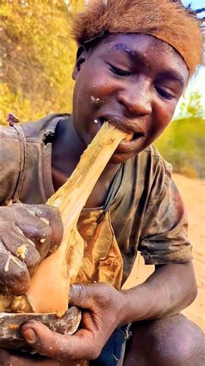 Hadzabe food #sukuta #hadzabetribe hunting #africantribe hunting #tanzania #bushman ##châu_phi