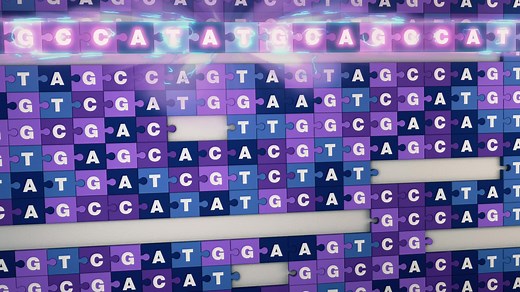 2.2K views · 134 reactions | Scientists in the Telomere-to-Telomere (#T2T) consortium have published the first complete, gapless human genome sequence. This can lead to a better understanding of our genomic variations and provide insight for missing heritability and human disease. Read about this historic effort! genome.gov/T2T | National Human Genome Research Institute | Facebook