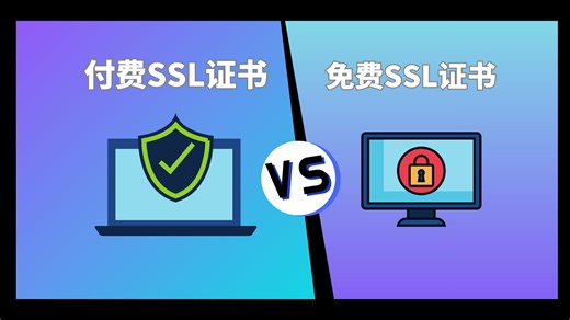 免费SSL证书VS付费SSL证书，关键区别在这里！
