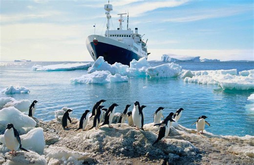 I've Traveled to Antarctica Over 50 Times—Here’s How to Plan a Cruise Ship Adventure