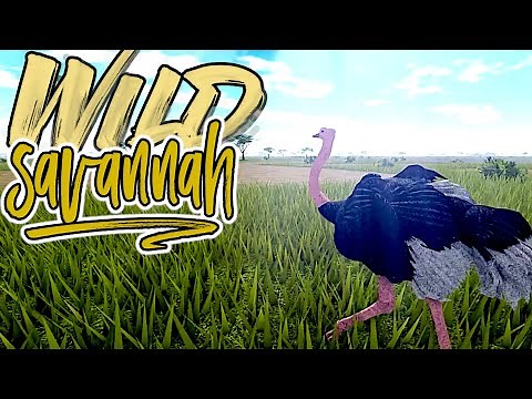 Wild Savannah Testing A Public ! Remastered Map & Updates | ROBLOX