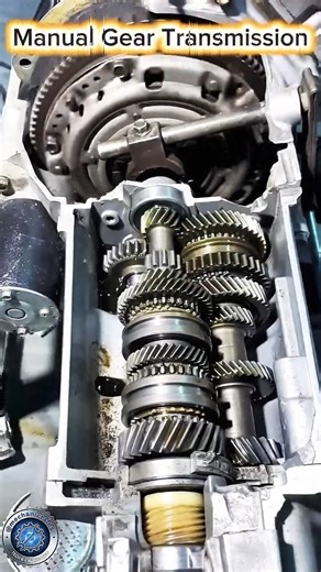 Manual Engine Transmission & Assembly || Cutout Section
