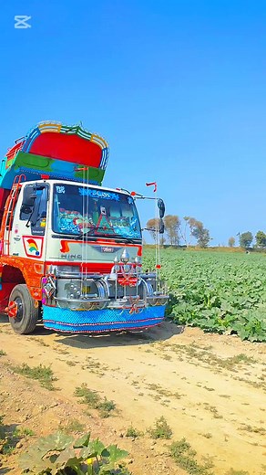 #viralvideo #foryoupage #mashallah_mashallah #mashallah_mashallah @Ali Hasan