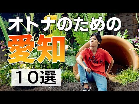 【愛知旅行】愛知県のオススメ大人向け観光スポット
