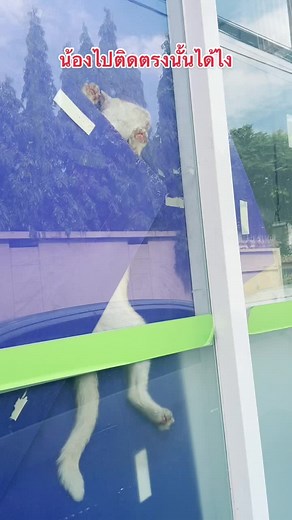 น้องติดอยู่เป็นชม.แล้ว สงสารน้องมาก ไม่เป็นอันทำอะไรเลย