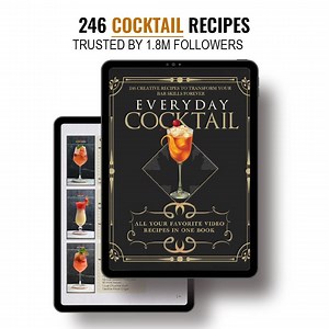 246 Viral Cocktail Recipes Loved by 1.5M Fans | Digital Recipe Book | Instant Download E-book - Etsy Canada