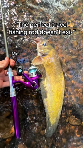 GET YOURS, LlNK lN PROFlLE👉🎣. #fishing #fishingrod #fish #catchingfish #catfish #travel #viral Our pen fishing rod is perfect for travel and fishing on the go