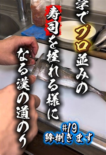 三枚おろし練習します#寿司 #寿司職人 #職人 #独学鮨 #いいね