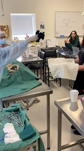 Embracing every moment in class! Learning isn’t just about textbooks, it’s about seizing every opportunity to refine skills you’ll use daily. 🐾 Repro lesson: puppy resuscitation after a C-section. 🐶 📚 🩺 📚 🩺 #puppylove #VetNurseLife #VeterinaryNurse #AnimalHealth #VetNurseCommunity #PetWellness #VetMedicine #VetNurseStudent #VetNurseEducation #melbournebvn #vetnursingdegreemelbourne #VetNurseLife | Vet Nursing at Melbourne Polytechnic