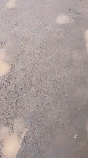 Kanika mann on Instagram: "Jaata khn hai sohneya ❤️ . . . . #reelitfeelit #reelsinstagram #kudikanwaariterepichchhepichchhe #roposo #roposolove @roposolove"