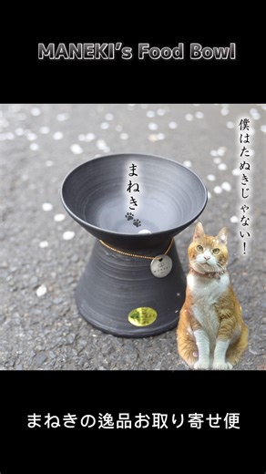 I tried writing a tanka poem using a Shigaraki ware cat-shaped bowl!