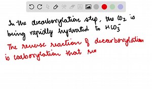 Which one of the five steps of the pyruvate dehydrogenase complex reaction is most likely to be metabolically irreversible? Explain. | Numerade