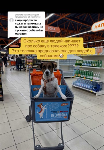 Необычные тележки для собак в Сільпо