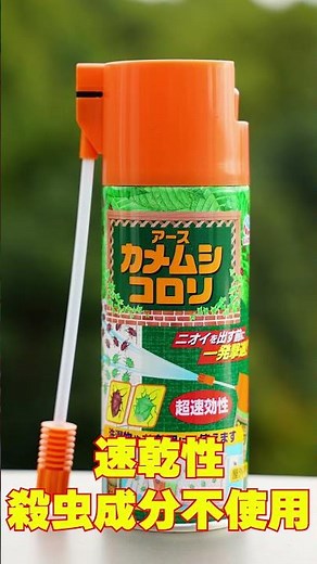 【カメムシ対策】洗濯物にカメムシ 対処方法 カメムシコロリ カメムシ駆除スプレー カメムシ用エアゾール！ #害虫 #カメムシ #虫除け #shorts