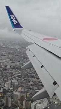 雨の伊丹空港に着陸するANA B737-800の機窓から撮影
