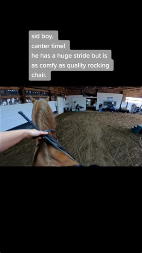 Equestrian Showtime Saddle Seat Canter - Horse Riding Fun!