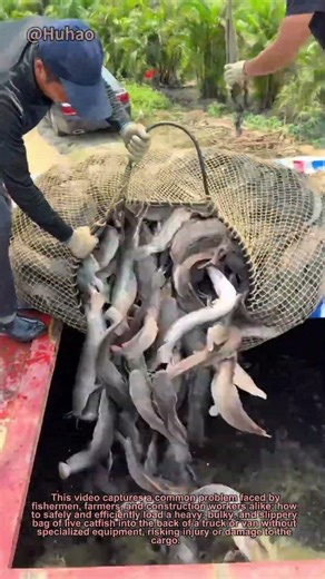 Simple Trick to Load Heavy Fish Bag into Truck | DIY Lifting Hack for Farm & Construction