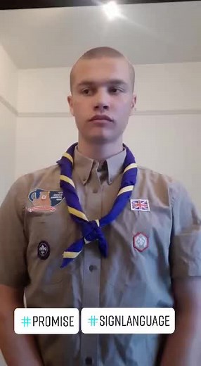 WYScouts on TikTok