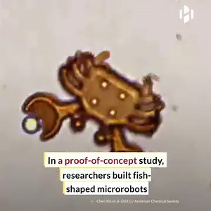 New microrobot swims through the body to deliver cancer drugs. | Hashem Al-Ghaili