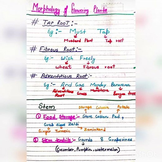 morphology of flowering plants examples trick part -1 quick and easy tricks to learn chapter