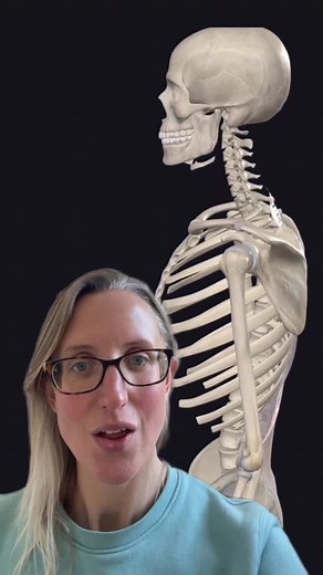 3 Steps To Learning Muscles 💪 #muscles #musclememory #originandinsertion #fitnessexam #anatomy #anatomyandphysiology #personaltrainerintraining #pt #biceps #personaltraining #personaltrainer #gymplan #gymproblems #gymprogress | Parallel Coaching