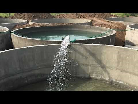 RAS System design and construction | Pride Aquaculture