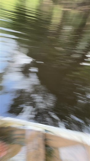 #viral #explorar #foryou | bajo el agua