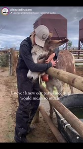 I never knew. I had no idea the decision to rescue a single donkey would change my whole entire life. That in one moment, a simple choice, to save his life, would derail everything I thought was supposed to be mine.Sweet Kevin ❤️ Best decision ever. You can read our story by clicking the link in the Instagram or Facebook story or by visiting the website and clicking ‘Who We Are’. | All Seated in a Barn