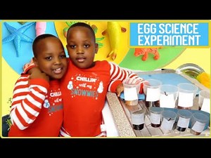 Eggs in different Liquids science experiments!!! | Tooth Decay Experiment with Eggs and Drinks