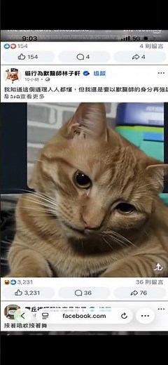 Baby Orange Kitten Cutest Moves Ever! 😻🧡