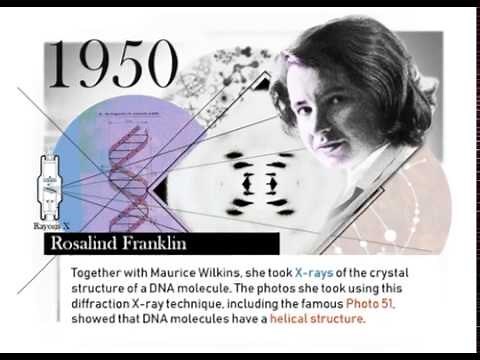 A brief history of the discovery of DNA