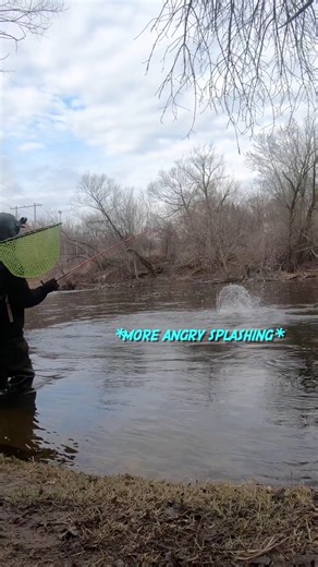 I love fishing for brown trout with inline spinners. I know I need to try float fishing with a bead or with eggs. I'll give that a shot this fall / winter / spring. There's just something about casting out and then while in the retrieve when a big trout absolutely smashes the lure. This buck brown trout crushed the Mepps Black Fury # 4 I was casting around and then went absolutely mad. He was head shaking, jumping, and splashing all over the place in the Milwaukee River. I'm glad he didn't decid