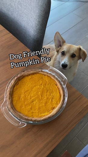 DIY Dog Friendly Pumpkin Pie Recipe
