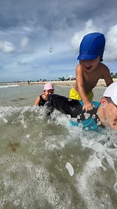 54 reactions · 5 comments | How is Toddler spending time on the beach? Baby playing with naomi and dad by the ocean | David Family | Facebook