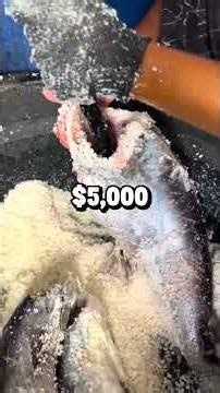 My boss auctioned me off for one dollar at his charity gala. "Who wants my most boring employee?"...