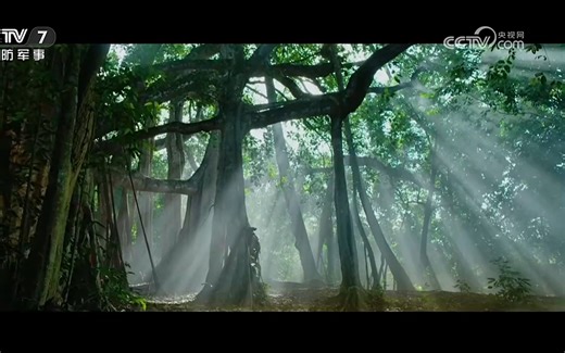 燃值很高的央视公益广告——中国低碳环保环境