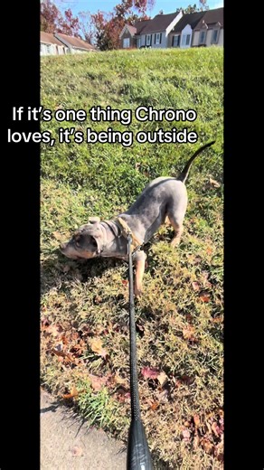 Chrono's Love for Outdoor Adventures