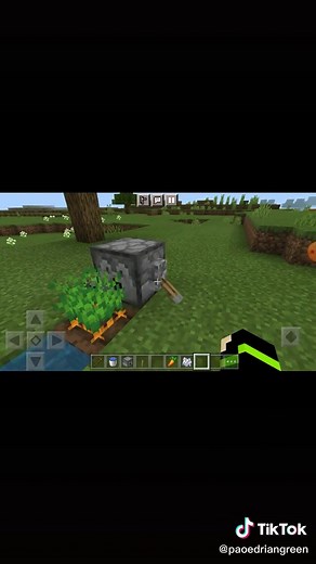 Paoedrian_Green on TikTok