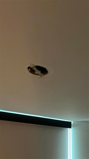 Quality Handyman Service on Instagram: "🔧 One Call. One Visit. Done Right. 📺💡 Need multiple things done around your home or office? We’ve got you covered in one visit: ✅ TV Mounting (clean install, cords managed) 💡 Light Fixture Installation 🌀 AC / Air Filter Changes 📷 Wired Security Camera Installation 📚 Floating Shelves Install 🧠 Floating Whiteboard Installation No waiting. No stress. Professional, clean, and reliable work every time. 📞 Call or Text: 813-693-1074 🌐 Book Online: quali