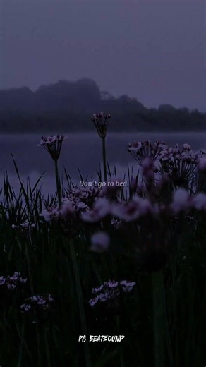 death bed (coffee for your head) - Powfu | lyrics | aesthetic | whatsapp Status | Englishsongs