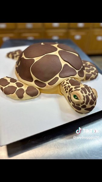 Check out our realistic Turtle Cake! #sweetjoyscakesanddesserts #fyp #cakes #blackownedbusiness #turtles #turtlecake