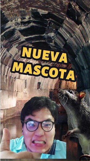 RATA NUEVA MASCOTA DEL CANAL #Clips #twitch #stream #humor #comedia #clipsdetwitch #directo #foryou