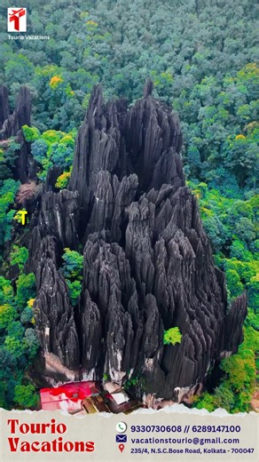 A hidden wonder deep inside Karnataka’s rainforest…  Yana Caves is...