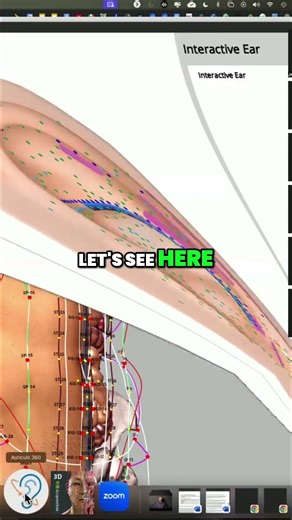 Ear & Body Connection Quantum Healing Explained!