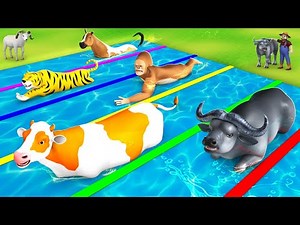 Farm Animals Swimming Pool Race - Cow, Mammoth Elephant, Tiger, Buffalo, Horse, Pig Animal Cartoons